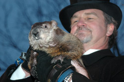 Punxsutawney Phil